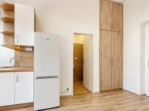 Pronájem bytu 2+kk, Praha - Nusle, Boleslavova, 36 m2