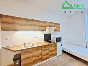 Pronájem bytu 1+kk, Brno, Koliště, 32 m2