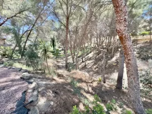 Prodej rodinného domu, Algorfa - La Finca Golf, Alicante, Španělsko, 320 m2