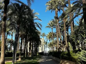 Prodej bytu 3+kk, Avenida Vincente Blasco Ibáňez, Santa Pola, COSTA BLANCA, Španělsko, 55 m2