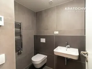 Pronájem bytu 1+kk, Praha - Karlín, Křižíkova, 32 m2