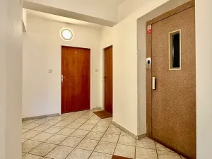 Prodej bytu 2+kk, Praha - Žižkov, Dalimilova, 50 m2