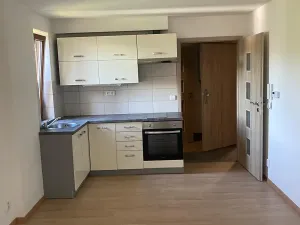 Pronájem bytu 1+kk, Liberec, Šlikova, 32 m2