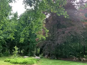 Prodej komerčního pozemku, Mařenice, 1610 m2