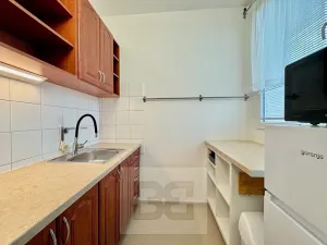 Pronájem bytu 1+1, Brno, Haškova, 30 m2