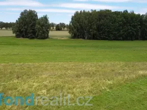 Prodej pozemku, Sobíňov, 3617 m2
