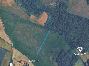 Prodej pole, Borkovice, 5287 m2