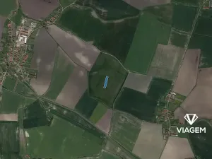 Prodej podílu pole, Běrunice, 711 m2