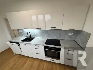 Pronájem bytu 3+1, Líté, 78 m2