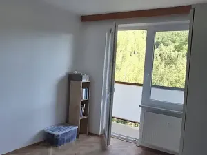 Pronájem bytu 2+1, Boskovice, Bílkova, 54 m2