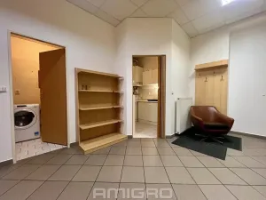 Pronájem bytu 2+1, Brno, Pekařská, 75 m2