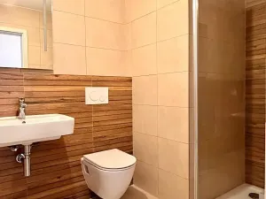 Pronájem bytu 1+kk, Plzeň, 34 m2