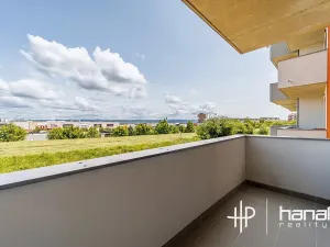 Pronájem bytu 1+kk, Olomouc, Aloise Rašína, 35 m2