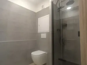 Pronájem bytu 1+kk, Děčín - Děčín III-Staré Město, Žerotínova, 29 m2