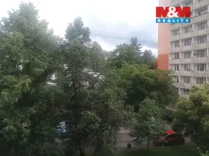 Pronájem bytu 1+kk, Děčín - Děčín III-Staré Město, Žerotínova, 29 m2