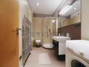 Pronájem bytu 1+kk, Brno, Kopečná, 40 m2