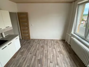 Pronájem bytu 1+1, Brno, Palackého třída, 50 m2