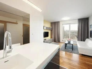 Pronájem bytu 2+kk, Brno, Palackého třída, 56 m2