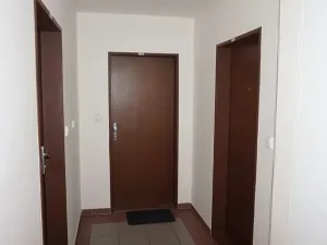 Prodej bytu 2+kk, Praha - Žižkov, Rečkova, 51 m2