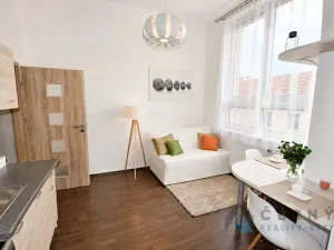Pronájem bytu 1+1, Liberec, Tatranská, 27 m2