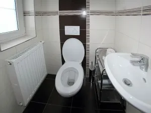 Pronájem bytu 2+1, Plzeň, 95 m2