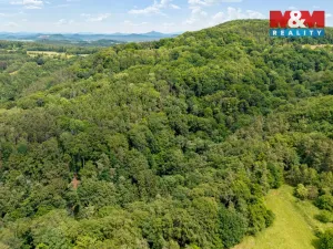 Prodej louky, Nosálov - Libovice, 13358 m2