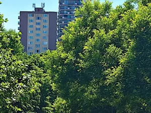 Prodej bytu 1+kk, Praha - Malešice, Počernická, 24 m2