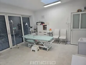 Pronájem komerční nemovitosti, Brno, Skopalíkova, 60 m2
