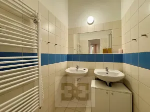 Pronájem bytu 2+kk, Brno, Cejl, 50 m2