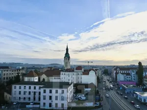 Pronájem bytu 1+kk, Brno, Křenová, 40 m2
