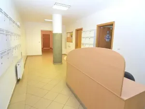 Pronájem bytu 1+kk, Praha - Vinohrady, Hradecká, 37 m2