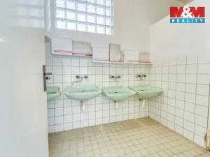 Prodej rodinného domu, Břasy - Vranovice, 158 m2