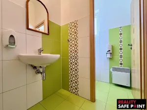 Prodej obchodního prostoru, Zruč-Senec, Plánská, 3159 m2
