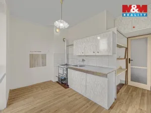 Prodej bytu 1+1, Orlické Záhoří, 39 m2