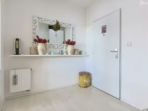 Prodej bytu 1+kk, Brno, Řípská, 47 m2
