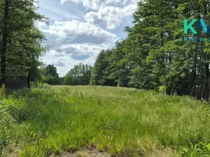Pronájem zahrady, Sadov, 3000 m2