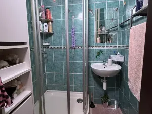 Prodej bytu 2+1, Ostrava, Mongolská, 54 m2