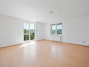 Prodej rodinného domu, Zádveřice-Raková, 395 m2