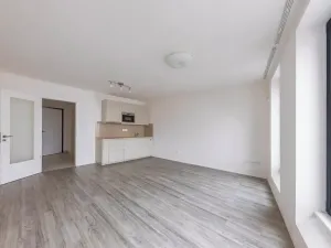 Prodej bytu 1+kk, Praha - Smíchov, Pod Barvířkou, 44 m2