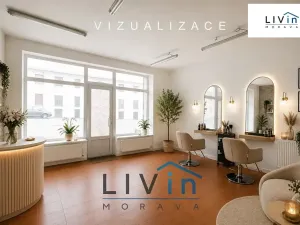 Pronájem obchodního prostoru, Olomouc, Smrčkova, 32 m2