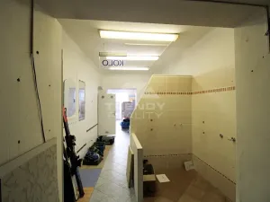 Prodej činžovního domu, Plzeň, Pod Všemi svatými, 450 m2