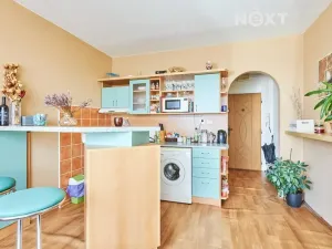 Pronájem bytu 1+1, České Budějovice, Větrná, 39 m2