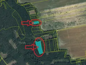 Prodej lesa, Puclice, 13840 m2