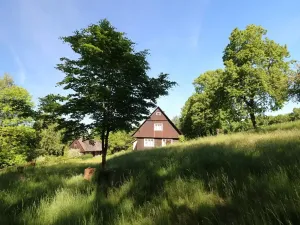 Prodej chalupy, Kounov, 267 m2