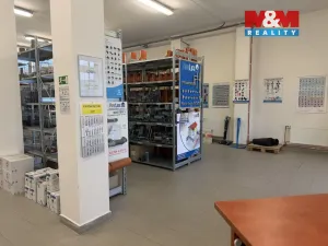 Pronájem obchodního prostoru, Tábor, U Čápova dvora, 415 m2