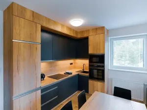 Prodej bytu 2+kk, Loučná pod Klínovcem, 55 m2