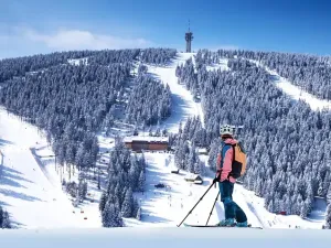 Prodej bytu 2+kk, Loučná pod Klínovcem, 55 m2