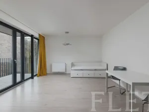 Pronájem bytu 1+kk, Praha - Žižkov, Hartigova, 37 m2