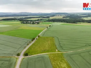 Prodej pole, Ostrov u Bezdružic - Krsov, 101002 m2
