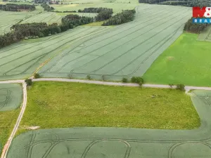 Prodej pole, Ostrov u Bezdružic - Krsov, 101002 m2